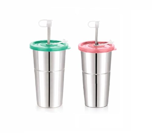 Image of Stainless Steel Fusion Glass Tumbler with Stainless Steel Metal Straws and Cleaning Brush with Lid (LD SIP (2) 600ML)