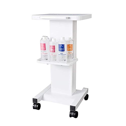 ZGQA-GQA Trolley On Wheels White Beauty Salon Trolley Cart with Handle Steel Beauty Equipment Utility Storage Cart on Wheels for Tattoo SPA 75kg Capacity Color  White Size  35×33×73