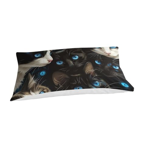 Parure de lit chat en microfibre premium de qualité supérieure single pour lit simple - 3