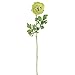 Vickerman 23" Green Ranunculus Stem 4/Pk