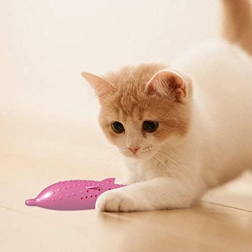 interactive cat dental toy