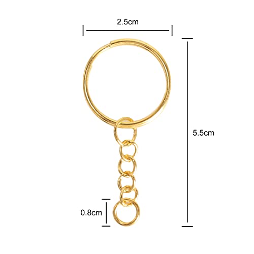 MaYuLa 100Pcs Keyring Chain Gold Key Chain Rings Split Metal Key Rings with Link Chain and Open Jump Rings Bulk for Crafts DIY Jewelry Keyring Making 1"/25mm