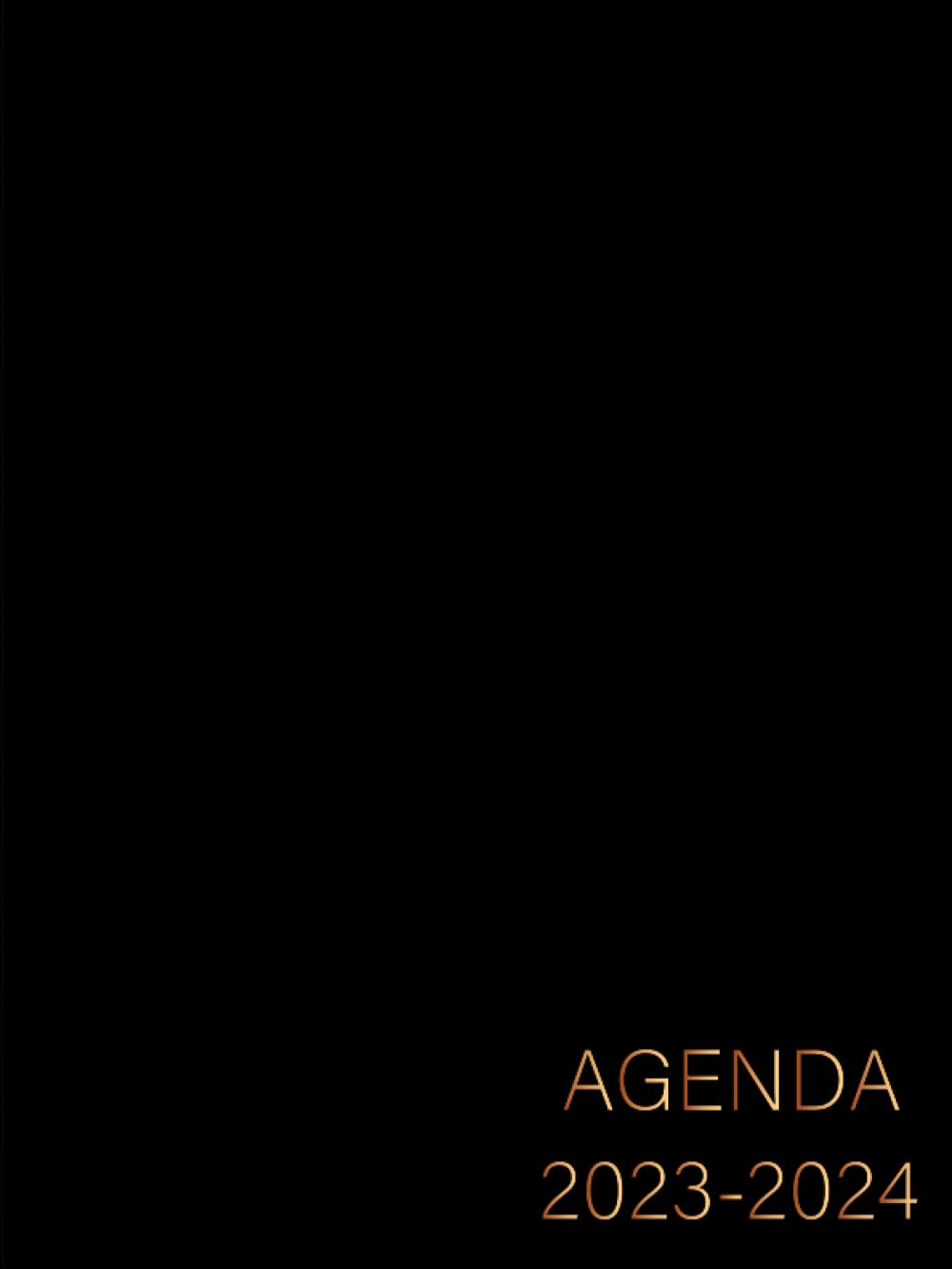 Agenda Semainier 2023-2024: Agenda Semainier 24 Mois 2023-2024, Planificateur hebdomadaire grand format A4, 2 Pages Par Semaine, Jolie Couverture.