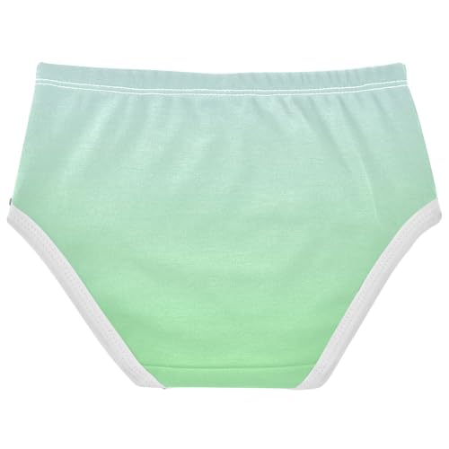 Joisal Personalized Toddler Girls Underwear 2t Cotton Cute Panties Girl Elegant Blue Light Green Gradient Briefs Girls Undies2