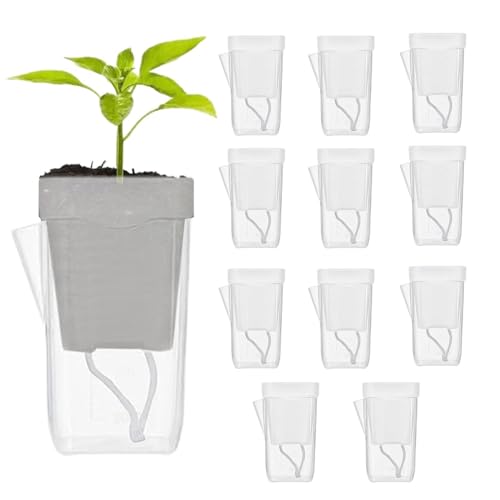 Generico Macetas de autorriego – Orificios de drenaje para plantas de interior, jardinera, maceta con a, contenedor de riego automático, cuenca de humedad | para esquejes de pia