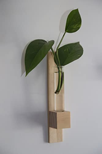 Image of Test Tube Wall Planter (Set of 2) | Hanging Planters | Stick to Wall | Wall Planter | Planter for Indoor Plants |Decorative Planter (Comes with Double Sided Tape)