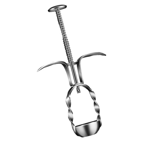 STOBAZA Jujube Pitter Tool Cherry Core Remover Manual Cherry Pitting Kitchen Gadget and Date Pitting Compact Design for Home Use