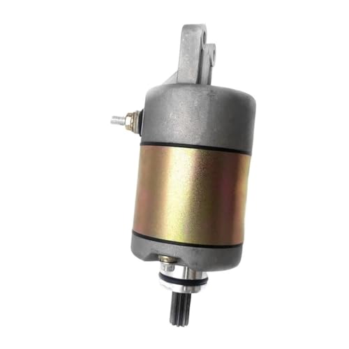 X^[^[[^[ 260cc 300cc ATV SPORTS 300XL GWp[c KART 24101 ɓK