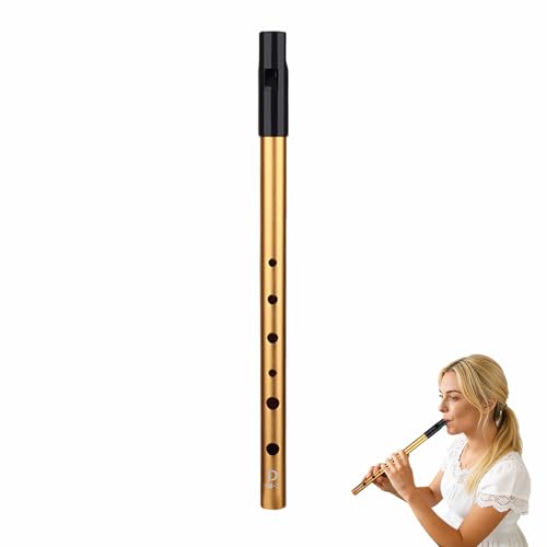 Authentic D Penny Whistle - Six-Hole Traditional Tin Whistle for Celtic Music Ideal for Beginners and Professionals Irish Flute Instrument in Black