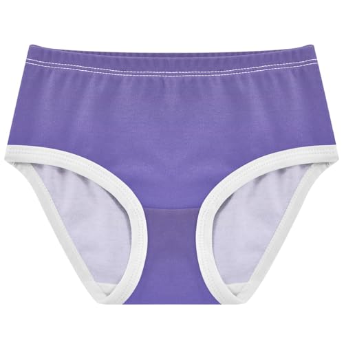 Joisal Violet Slate Blue Gradient Cute Panties Girl Toddler Girls Underwear Cotton Stylish Briefs Underpants 2t
