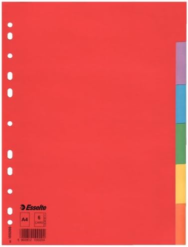 Esselte A4 6 Dividers Folder Red/Multicoloured, Recycled Cardboard, 100200