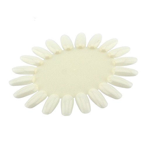 KADS Wholesale 10pcs/set 20color women false nail display Oval Nail Art Display Chart Natural Wheels Ellipse Plastic Gel Polish Plate