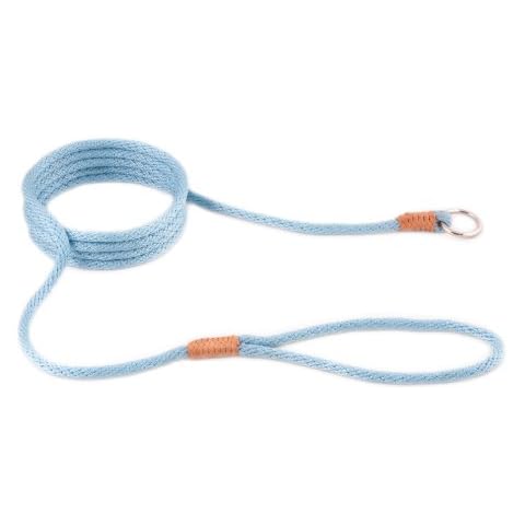Alvalley Nylon Slip Leashes with Braided Leather - Adjustable Pet Lead for Dogs - Soft, Smooth Leash for Training & Walking - Durable, Strong Rope (Sky Blue, 6ft Long, 6mm Thick) Cover