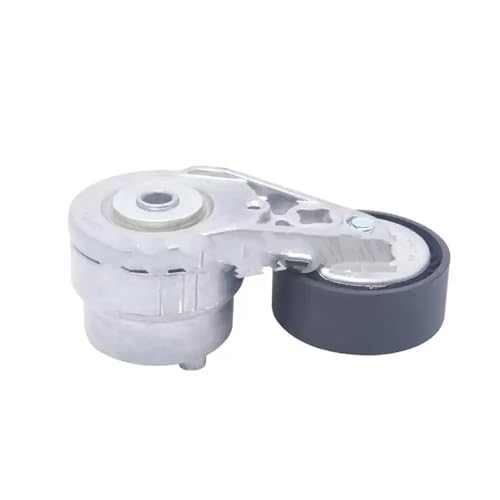 Tendeur automatique de courroie pour Chery Tiggo 3 2005-2016 SQRE4G16