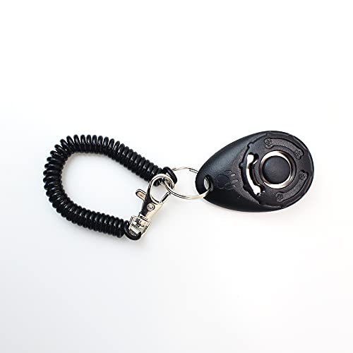 Clicker NYP para adestramento preto