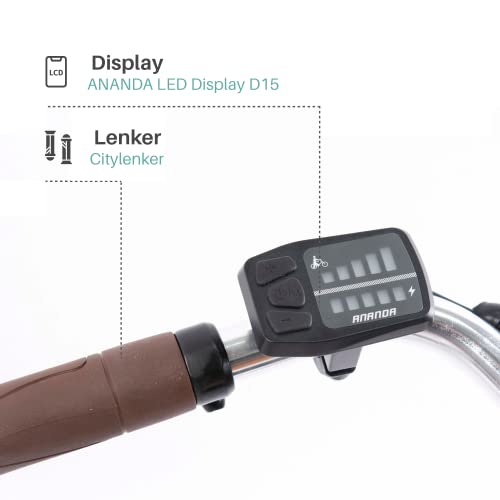 TRETWERK Sophia Elektrische fiets, retro e-bike voor dames en heren, met terugtraprem, E-bike 28 inch met led-display, e… - Afbeelding 6