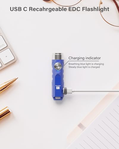 RovyVon Aurora A1 G4 USB C Rechargeable Mini Flashlight, Small Bright Keychain Flashlight 650 High Lumens EDC Flashlight Gadget with Clip for Camping, Hiking, Emergencies (Blue)