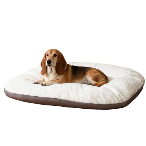 Lifetips oZbgEnEh ybgxbh  L \t@ NbV 􂦂Jo[ h  ӂӂ 傫 I[V[Y ~ y ϋv ᔽ ʋC  R hL h_j ې OȒP p 