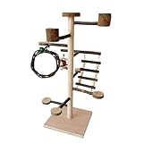 Vogel Spielplatz Holz - Vogelspielplatz für Wellensittiche, Wellensittich Spielplatz Freisitz für | Vogelspielplatz-Trainingsstange aus Holz für Nymphensittiche, Turteltauben und Sittiche