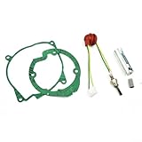 Gdfnmogo 5PCS Lufterhitzer Reparatursatz für Webasto & für Eberspacher 5-8kW Systeme - Keramik Glühen, Dichtungssatz, Filter & Schraubenschlüssel