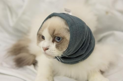 Image of Cat Ear Cover Keep Calm for cat Ear Wrap Hematoma Compression Comfort Anxiety Relief for Bathing, Grooming, Thunderstorms & Fireworks Aqua Blue S