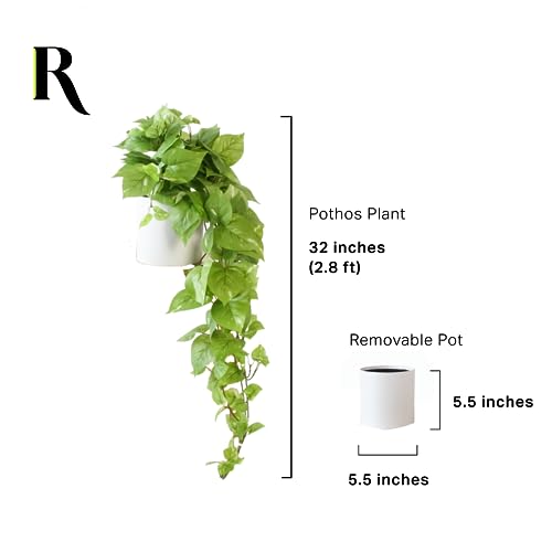 Retrograde 32" Realistic Fake Pothos Ivy Plant for Home Decor Indoor Silk Artificial Plant Large (Light Green) - Image 4