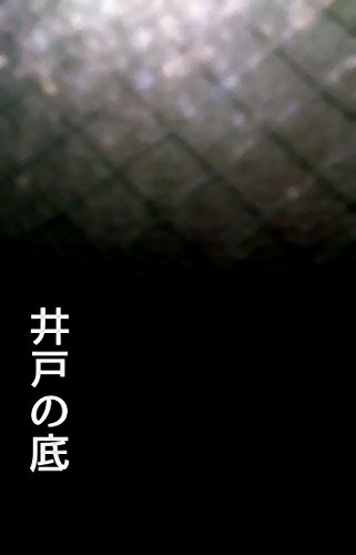 井戸の底 自己同化型ロリコン 小説 文芸 Kindleストア Amazon