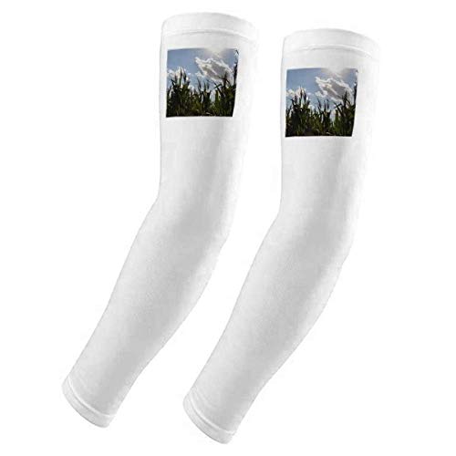 Housse de protection UV bras manchette sport respirante ciel bleu nuages