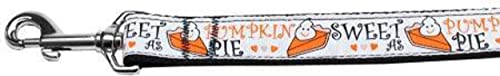Pet Dog & Cat Nylon Collar or Leash, 'Pumpkin Pie' MD Collar