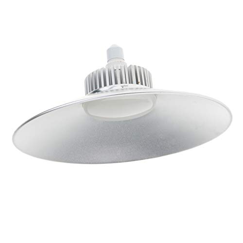 Preisvergleich Produktbild F Fityle LED Videoleuchte Videolicht Fotografie Beleuchtung 75W E27