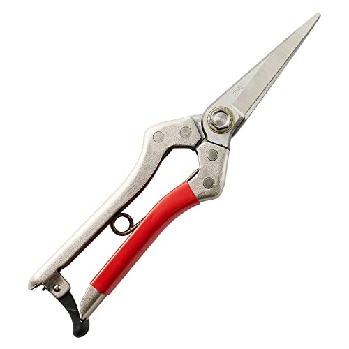 g nؙ Y { VO  vdl ׂƌ ؂̎n ʎ̉؁EEʂ }̙