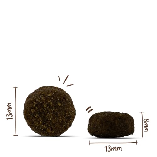 Bosch My Friend + Dog Junior & Active | Hundetrockenfutter für junge und aktive Hunde | 1 x 12 kg