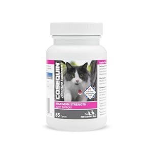 Nutramax Laboratories Cosequin Joint Health Supplement for Cats – With Glucosamine and Chondroitin, 55 Capsules