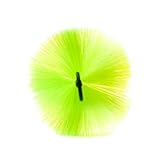 schierholt rechtsanwalt papenburg langlebige, robuste Filterbürten