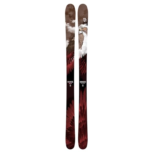 ICELANTIC Men's Nomad 95 Lightweight Durable Stable Alpine All-Mountain Freeride Snow Skis with Special Artwork, No Bindings Included, 186 cm