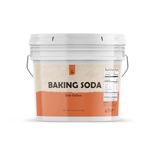 Pure Original Ingredients Baking Soda - 1 Gallon