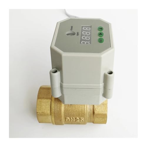 NKKALUKM Válvula eléctrica con Temporizador, válvulas de Encendido y Apagado, latón, 2 vías, 1'', DN25, Rosca B*S*P/NPT, CA 110 V-230 V(Dn25 Npt)