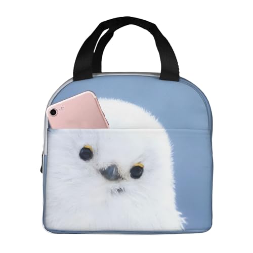 `obO V}GiK  ۗ ۉ ٓobO  RpNg O|Pbgt ~jg[gobO p肳obO fB[X Y ʋ ʊw s fB[X Y qp