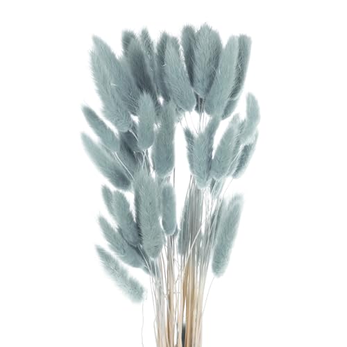 QUARKZMAN 60 unidades rabos de coelho naturais flores secas 16' mini pampas Lagurus Ovatus ramo para decoração de casamento Natal, cinzento - azul