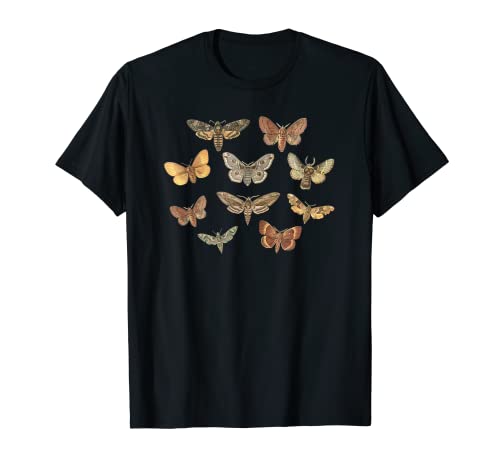 Fairy Grunge Fairycore estética Luna Moth Grunge Camiseta