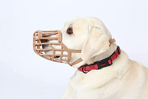 The Company Of Animals Baskerville Muzzle 7 - Springer