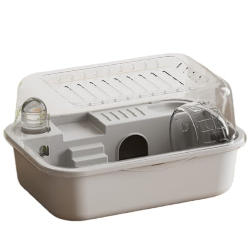 Fiozwea nX^[P[WApm}_uC[AANAS[fnX^[nEWO (D)