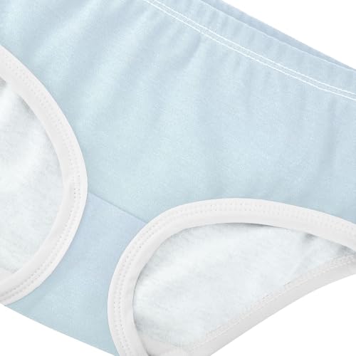 Joisal Cotton Toddler Underwear Floral Blue Pale Gradient Cute Panties Girl Bright Briefs Kids Undies 2t4