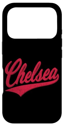 `FV[ h o[VeB XNvg NVbN X|[c W[WX^C X}zP[X iPhone 17 Pro p