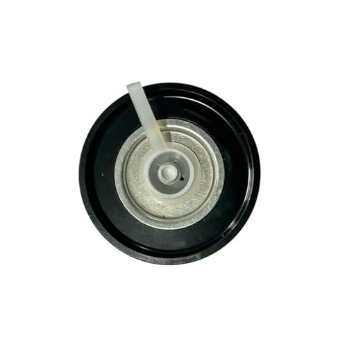 Poulie de renvoi courroie d'entraînement pour Renault Duster Logan 1.4 1.6 8200598966