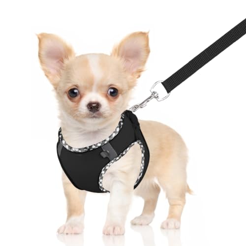 Doggiekit Hundegeschirr Kleine Hunde mit Leine, verstellbares reflektierendes Step in Welpengeschirr Leine, Atmungsaktives Mesh Hundegeschirr,weich gepolsterte Weste für extra kleine/mittelgroße Hunde