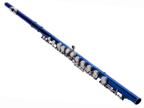 Hawk Wd-F113-Bl Closed Hole C Flute With Case, Blue #TOP1