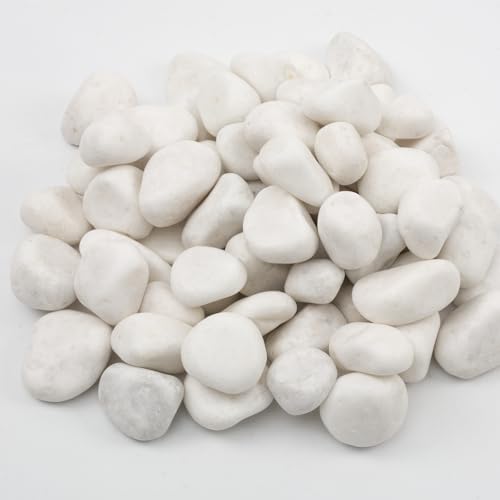 Image of 10lbs White River Rocks, Polished Pebbles for Plants, Garden, 1-2 Inch Decorative Stones, Ideal for Fish Tanks, Vases, Crafting, and Landscaping (Weight : 10 LB, Pure White)