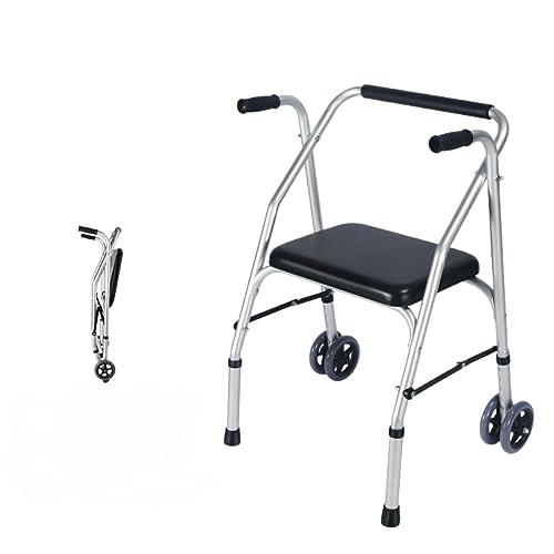 ���s�� ���ʕ��s�� �������\ ���s�⏕�� ��Q�҉����P���p�L�����n�r���� (1. ���݂̂���A���~�j�E������ (2 �g�̃z�C�[��))