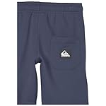 Quiksilver Easy Day Boy Elatic Waist Fleece Short - Image 4